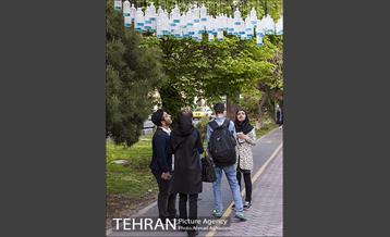 بلوار کشاورز 5