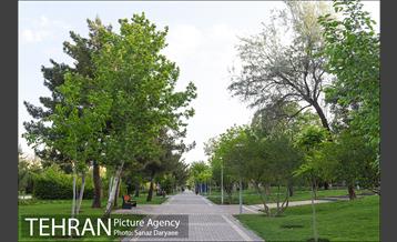 بوستان پلیس 19