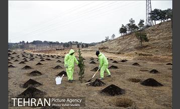 آغاز عملیات اجرایی نهضت درختکاری پردیس گردشگری 16