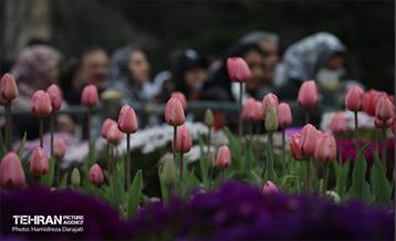 جشن بهار قرآن و طبیعت در بوستان ملت 36