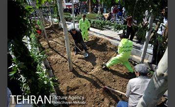 احیای درختان خیابان  ولیعصر( عج) با حضور شهردار تهران  45