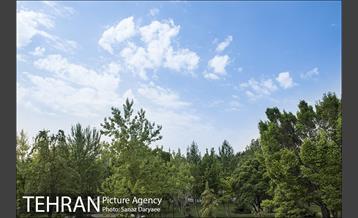 بوستان آزادگان 6