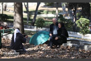 گذر پاییزی بوستان بعثت 15