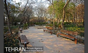 پاییز باغ ایرانی 24