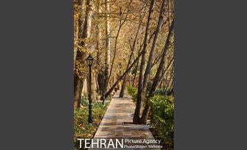 پاییز باغ ایرانی 17