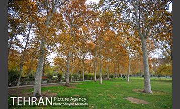 پاییز در پارک های تهران 10