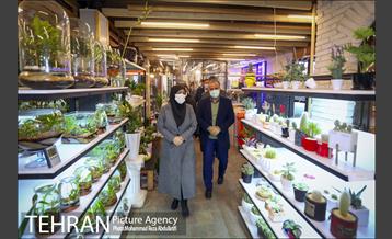 بازدید مصطفی سلیمی از پروژه های منطقه هشت 3