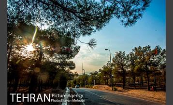 بوستان جنگلی چیتگر 33