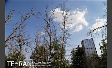 محله قدیمی ده سوهانک  10