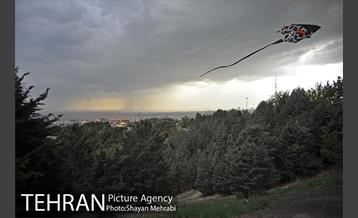 پارک جنگلی لویزان‎ 24