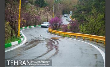 طبیعت بهاری پارک جنگلی لویزان‎  8