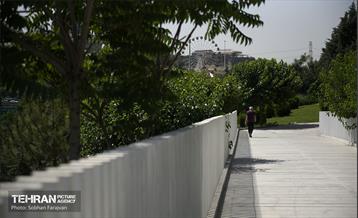 پل تندرستی 18