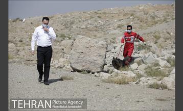 سگ های آنست 11