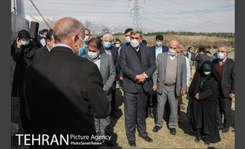 مراسم درختکاری در بوستان پردیسان 7