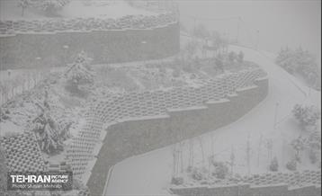 بارش برف زمستانی در تهران 17