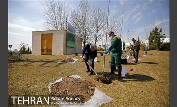 مراسم کاشت درخت صلح و دوستی 30