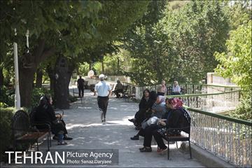 بوستان شفق‎ 3
