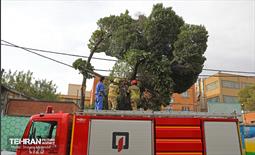 وزرش باد و طوفان در تهران 17