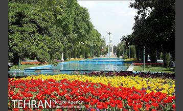 لاله های بهاری پارک شهر 10