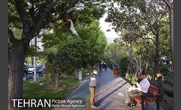 بلوار کشاورز 23