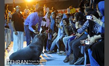 دلفیناریوم برج میلاد 2