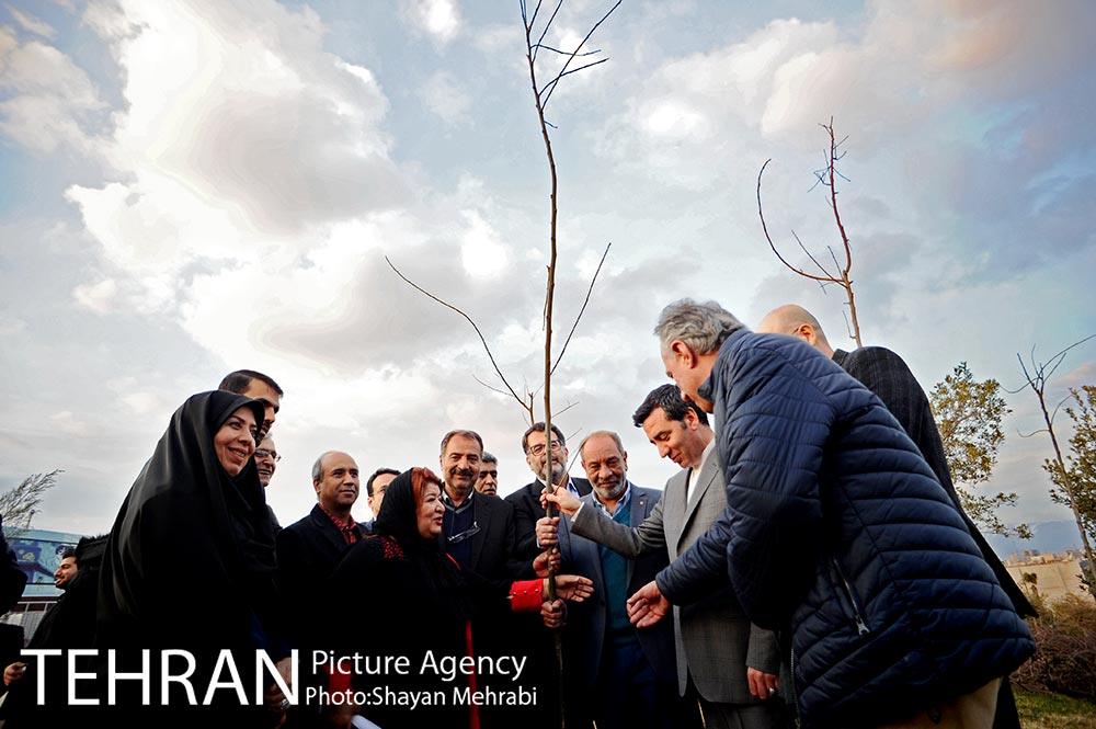 کاشت شش نهال درخت زیتون با حضور کارگرداران سینمای ایران 4