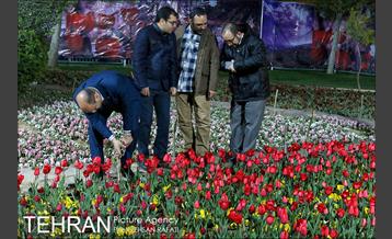 شب عید با شهردار شب تهران 27