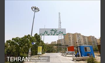 بوستان جنگلی یاس فاطمی 1