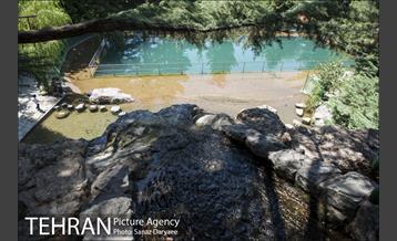 بوستان جمشیدیه‎ 5