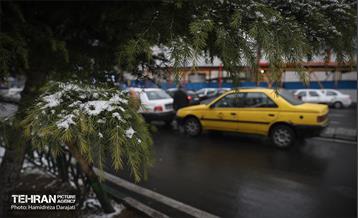 برف چهره تهران را سپیدپوش کرد 40