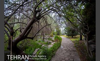 باغ گیاه‌شناسی ملی ایران 15