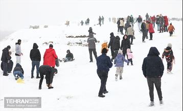 صبح آدینه برفی  1