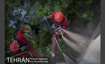 ارتفاع پست 16