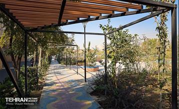 به وقت خدمت؛ باغ‌راه حضرت زهرا(س) محدوده آیت الله سعیدی 53