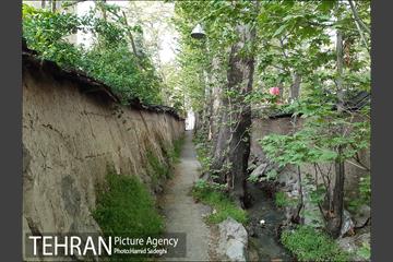 به بهانه روز شمیران 22