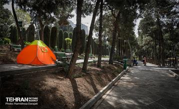 روز طبیعت در پارک ساعی و حاشیه اتوبان مدرس  35