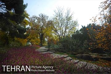 باغ گیاه‌شناسی ملی ایران 51