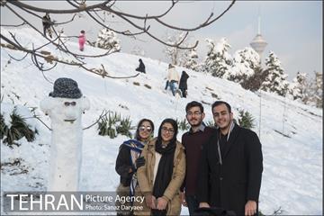 جشنواره مجسمه های برفی 15