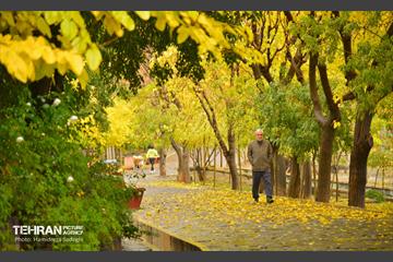 هوای پاییزی پایتخت 17