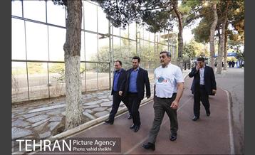 همایش پیاده روی وزرای بهداشت کشورهای مدیترانه شرقی 7