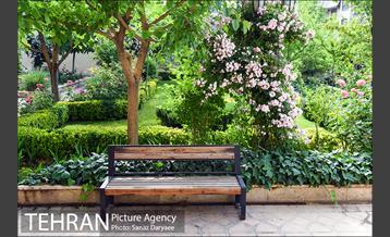 عمارت عین الدوله (نگارخانه برگ) 4