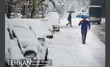 بارش برف زمستانی در تهران-2 5