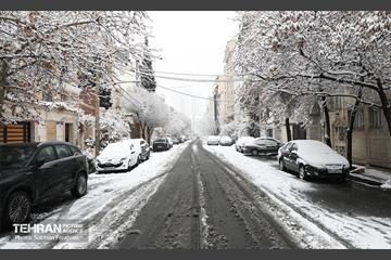 صبح آدینه برفی  37
