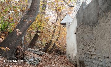 طبیعت پاییزی کوچه باغ‌های محله کن 24