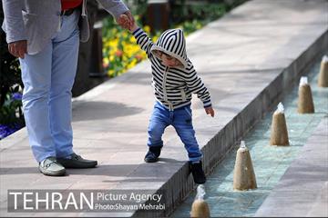رویش گل های لاله در باغ ایرانی 22