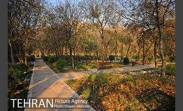 پاییز باغ ایرانی 7