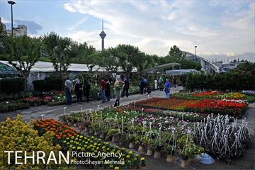 شانزدهمین نمایشگاه بین المللی گل و گیاه تهران - 2 3