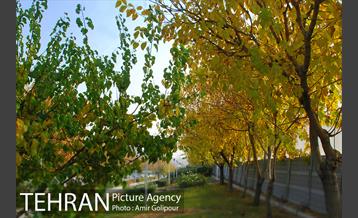 شهرک لاله 14