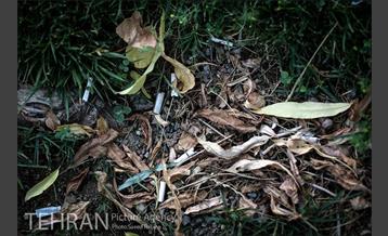 فیلتر سیگار زباله است 20