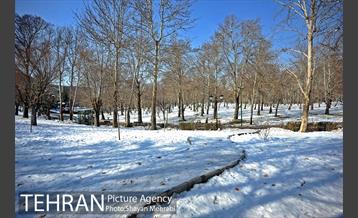 فصل زمستان در بوستان ملت 43
